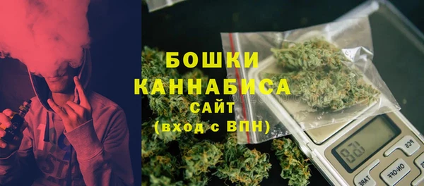 индика Семёнов