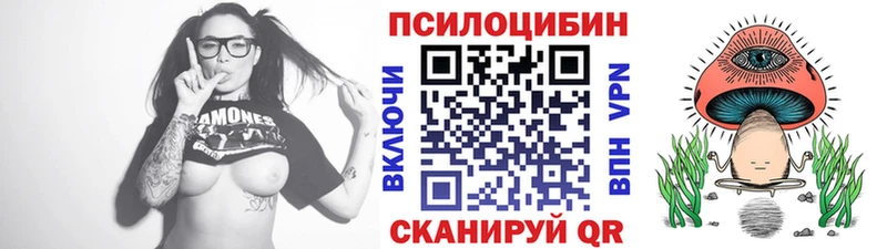 Галлюциногенные грибы Cubensis  магазин продажи   Чёрмоз 